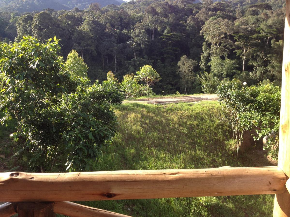 Bugambira Rushaga Gorilla Lodge חדר תמונה