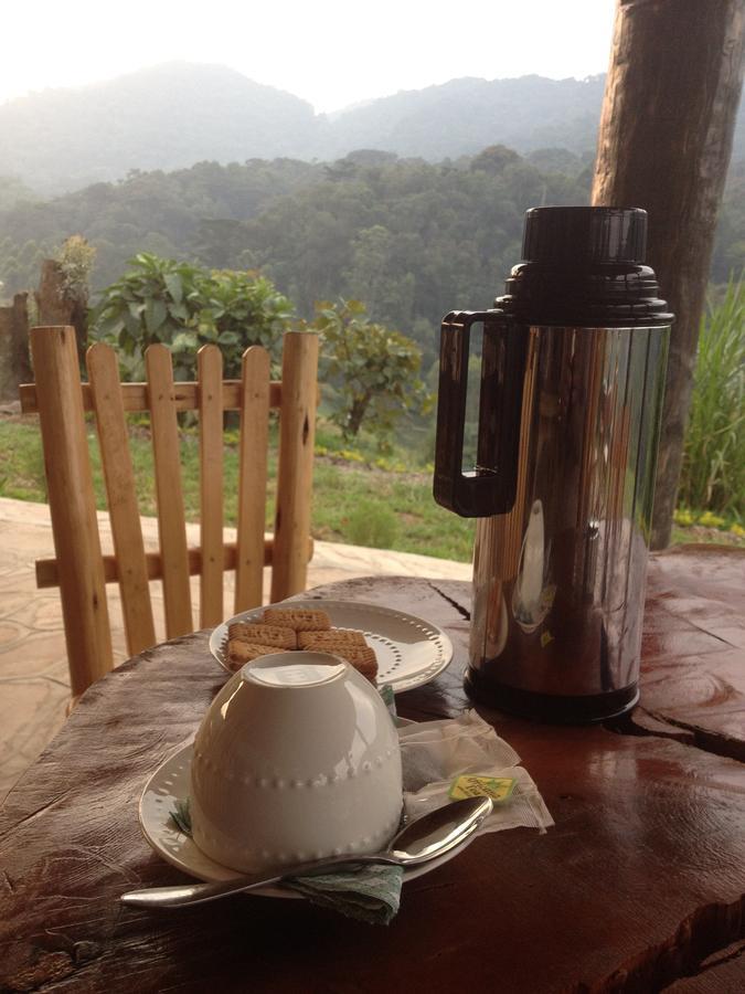 Bugambira Rushaga Gorilla Lodge מראה חיצוני תמונה